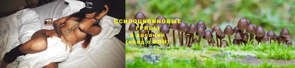 кокаин колумбия Корсаков