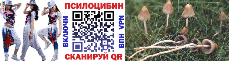Галлюциногенные грибы GOLDEN TEACHER  Купить  Белоярский 